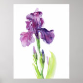 Poster Iris Pourpre en Aquarelle Lumineuse (Devant)