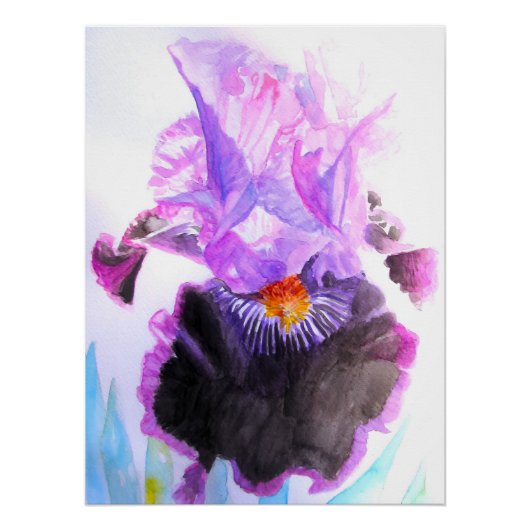 Poster Iris Pourpre Fleur Aquarelle Florale Anniversaire (Devant)