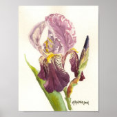 Poster Iris Purple (Devant)