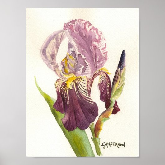 Poster Iris Purple (Devant)