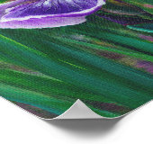 Poster Iris sauvage (Coin)