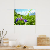 Poster Iris sauvage et paysage d'Alaska (Cuisine)
