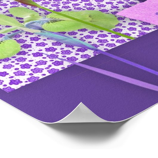 Poster Iris Scrapbook (Coin)