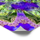 Poster Iris Stars...... (Coin)