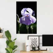 Poster Iris Violet 8393 Imprimer (Bureau à domicile)
