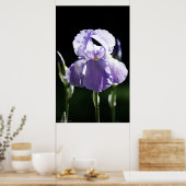 Poster Iris Violet 8393 Imprimer (Cuisine)