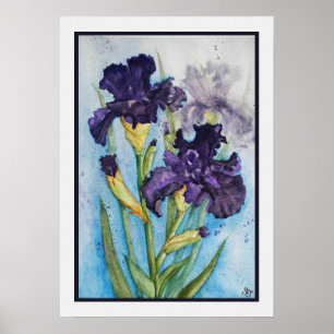 Poster Iris Violet du Printemps