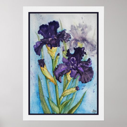 Poster Iris Violet du Printemps (Devant)