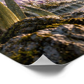 Poster Iris Violet et Crème avec Paysage de Cascade Mural (Coin)