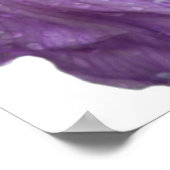 Poster Iris violet photo (Coin)