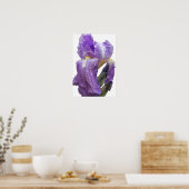 Poster Iris violet photo (Cuisine)