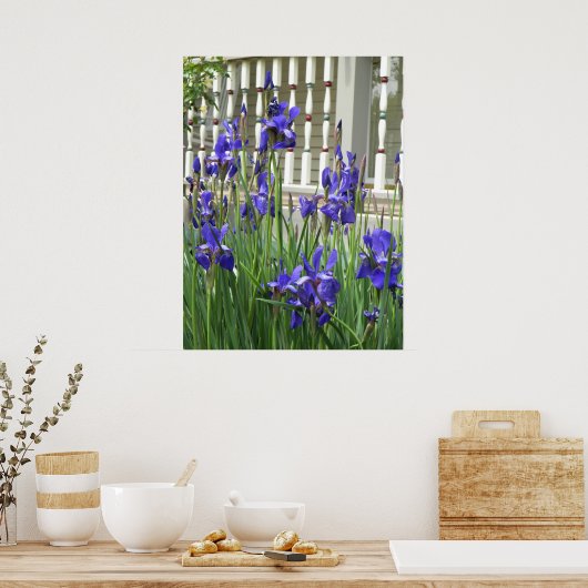 Poster Iris violet photo (Cuisine)