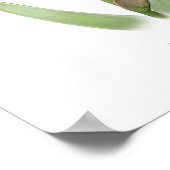 Poster Iris violet rouillé Imprimer (Coin)