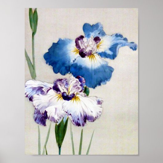 Poster Iris, Watanabe Seitei (Devant)