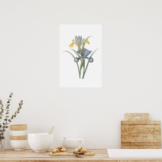 Poster Iris Xiphium (Cuisine)