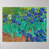 Poster Irises (Devant)