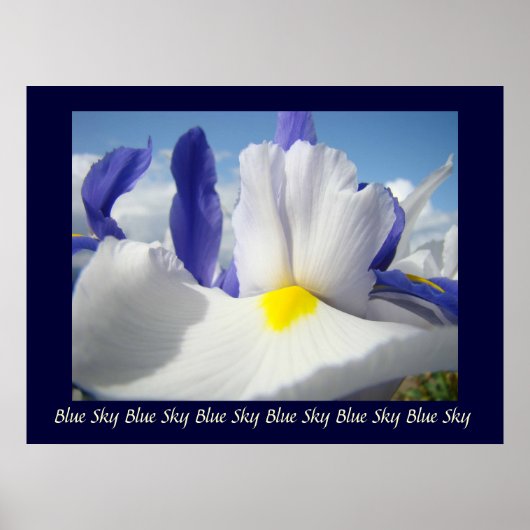 Poster Irises Blue Sky art print Healing Touch Nuring (Devant)