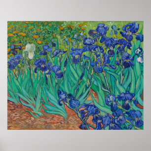 Poster Irises by Vincent Van Gogh