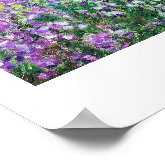 Poster Irises dans le jardin de Monet Claude Monet (Coin)