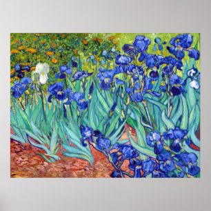 Poster Irises de Vincent Van Gogh