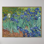 Poster Irises de Vincent Van Gogh.<br><div class="desc">"Irises" fait partie d'une série de peintures,  réalisées par Vincent Van Gogh,  alors qu'à l'asile de Saint Paul-de-Mausole,  à Saint-Rémy-de-Provence,  en France,  dans la dernière précédant sa mort en 1890. Il est maintenant situé dans le musée J. Paul Getty,  Los Angeles,  États-Unis.</div>