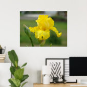 Poster IRISES Fleurs Jaunes Iris Imprimantes d'art Affich (Bureau à domicile)