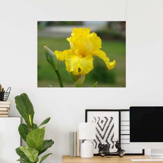 Poster IRISES Fleurs Jaunes Iris Imprimantes d'art Affich (Bureau à domicile)