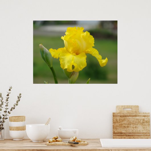Poster IRISES Fleurs Jaunes Iris Imprimantes d'art Affich (Cuisine)