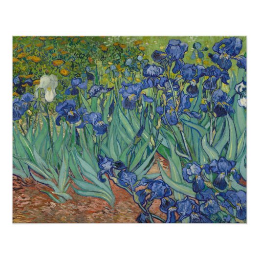 Poster Irises, Floral Oil Painting, Vincent Van Gogh (Devant)