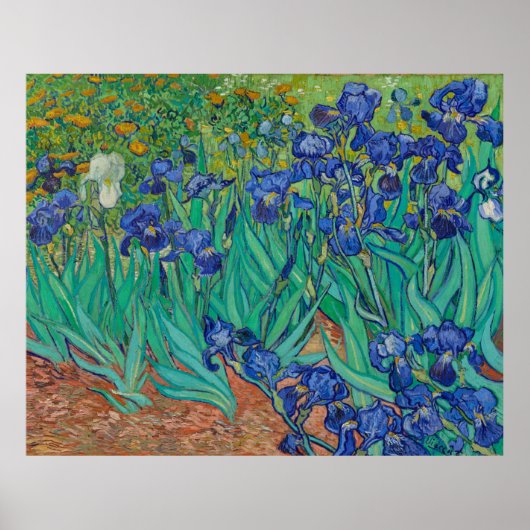 Poster Irises par Vincent Van Gogh (Devant)