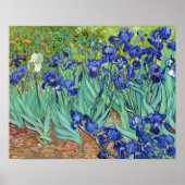 Poster Irises par Vincent van gogh (Devant)