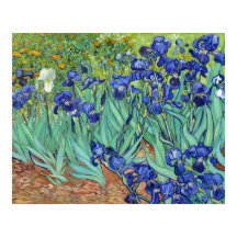 Irises par Vincent van gogh