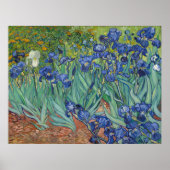 Poster Irises par Vincent Van Gogh (Devant)