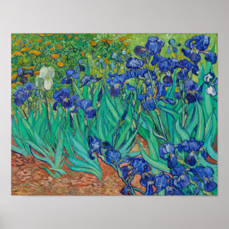 Poster Irises par Vincent Van Gogh