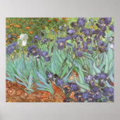 Poster Irises par Vincent van Gogh (Devant)