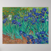 Poster Irises par Vincent Van Gogh (Devant)
