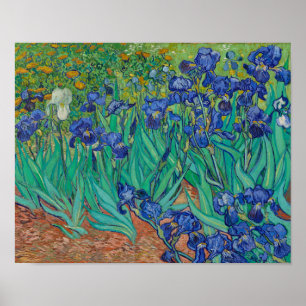 Poster Irises par Vincent Van Gogh