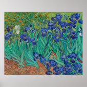 Poster Irises par Vincent Van Gogh (Devant)