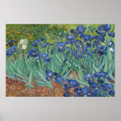 Poster Irises par Vincent van Gogh (Devant)