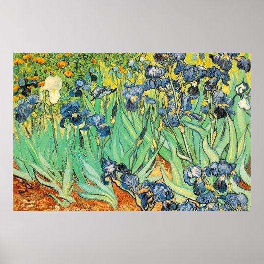 Poster Irises - Van Gogh - c1889 (Devant)