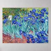 Poster Irises Vincent van Gogh (Devant)