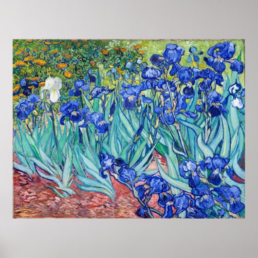 Poster Irises Vincent van Gogh (Devant)