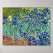 Poster Irises | Vincent Van Gogh (Devant)