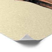 Poster irish setter (Coin)