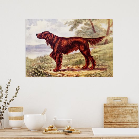 Poster Irish Setter 1900 (Cuisine)