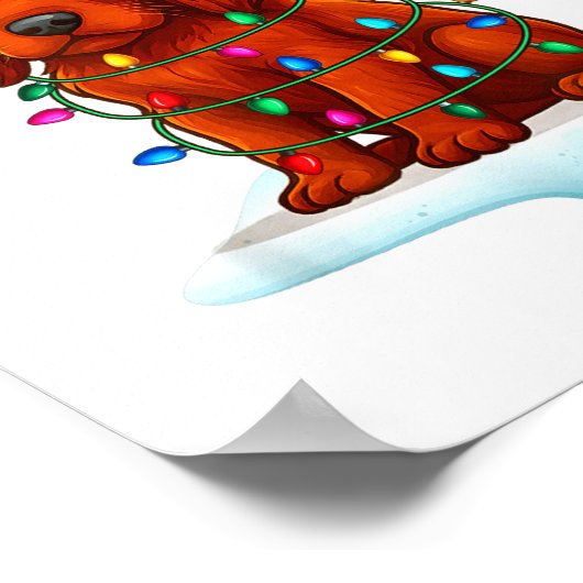 Poster Irish Setter Christmas Santa Hat Reindeer Lights P (Coin)