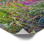 Poster Irish Summer Meadow (Hoek)