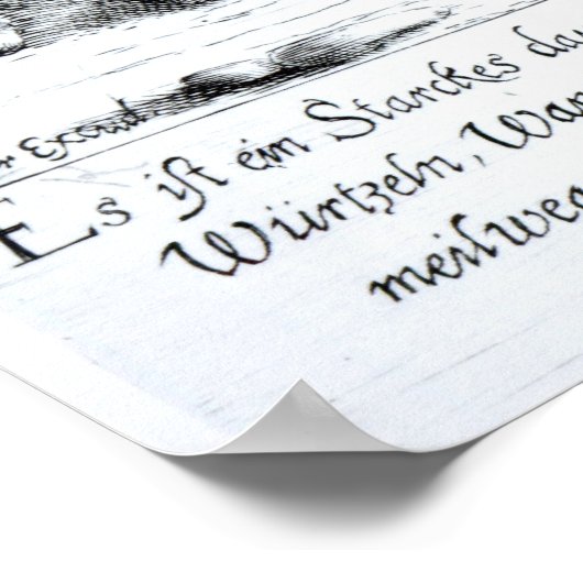 Poster Irishmen l'a fait dans un tel attrait (Coin)