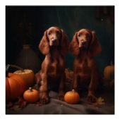 Poster Irlandais Red Setter Chiot Automne Citrouille de p (Devant)