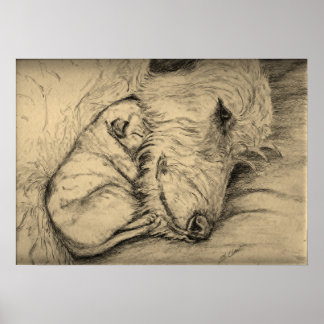 Poster Irlandais Wolfhound Mère et Chiot